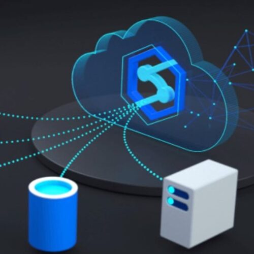 intel.veraxity.org