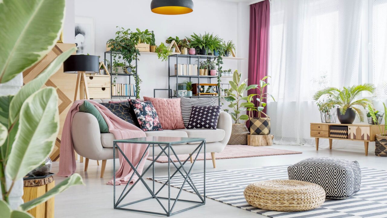 ondecoratoradviced. com