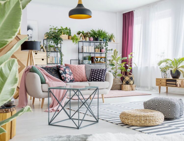 ondecoratoradviced. com