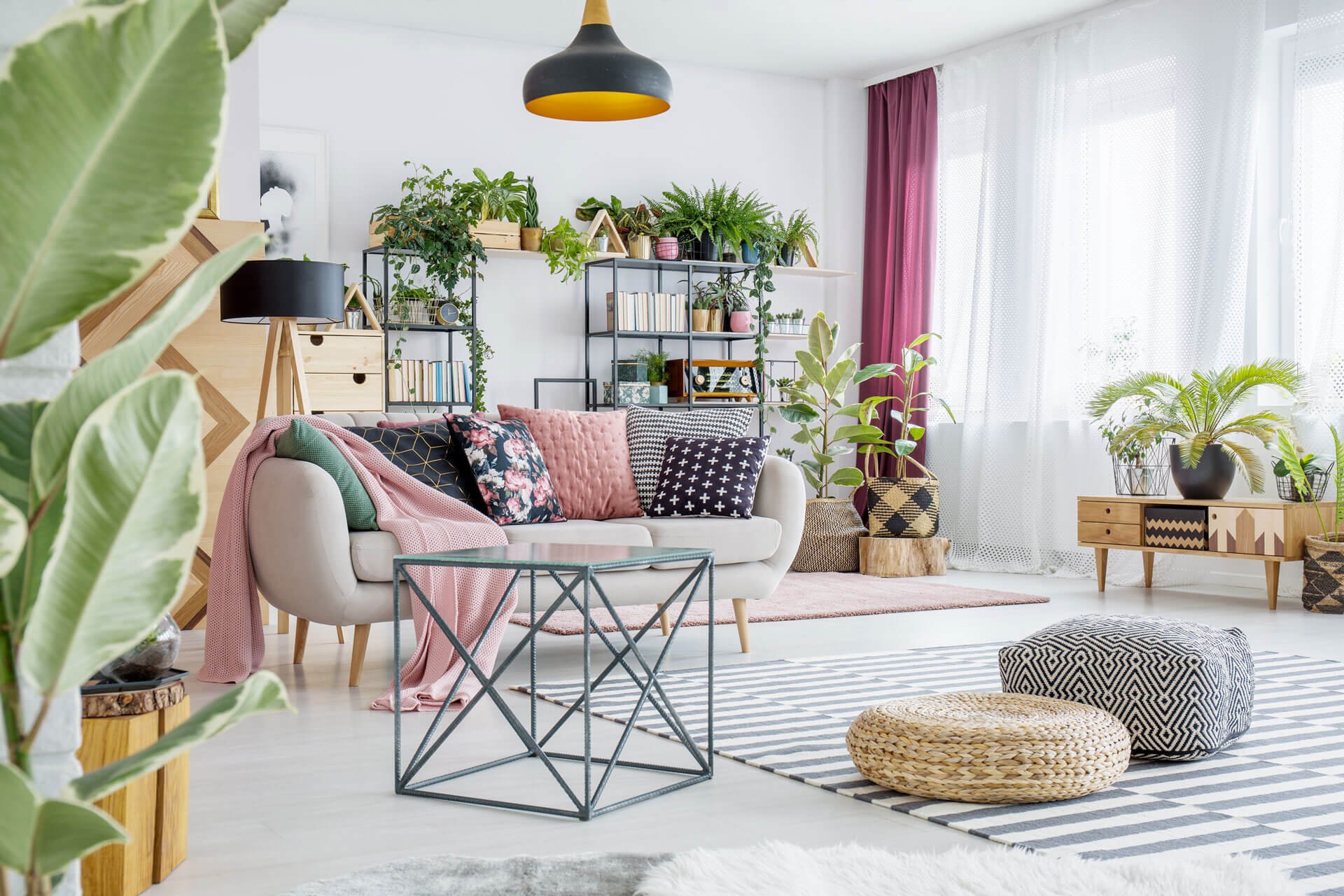ondecoratoradviced. com